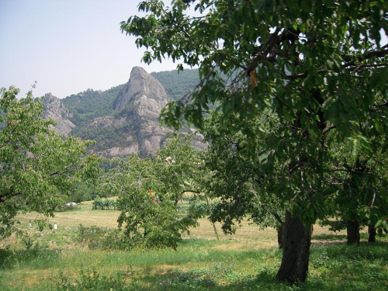 RUNEDA 2010 (14).JPG